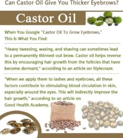 Your Beauty Tree ® Wimper Serum Met Echte Castor Olie |100% Natuurlijke Wimpergroei| Castor Oil Eyelash Serum|Wonder Olie | Wimper Groei | Wenkbrauw Serum | Lash Serum | Wimper Groeimiddel 13 Your Beauty Tree ® Wimper Serum Met Echte Castor Olie |100% Natuurlijke Wimpergroei| Castor Oil Eyelash Serum|Wonder Olie | Wimper Groei | Wenkbrauw Serum | Lash Serum | Wimper Groeimiddel -Modecosmetica Winkel 1075x1200 7