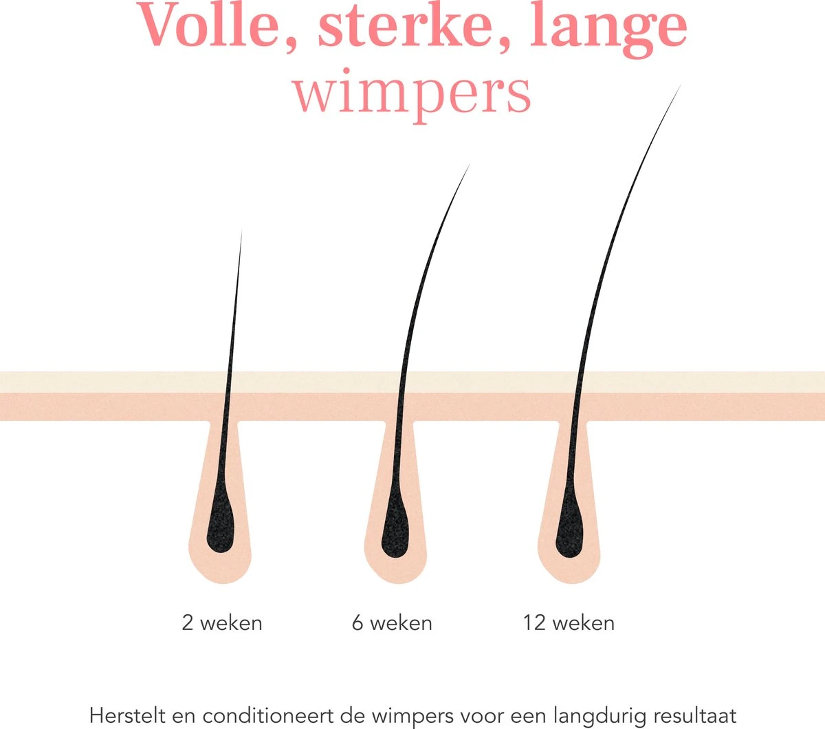 Lashive Wimperserum - Wimper Groeiserum - 3 Ml - Wenkbrauw Serum - Lash Lift Kit - Lashserum 7 Lashive Wimperserum - Wimper Groeiserum - 3 Ml - Wenkbrauw Serum - Lash Lift Kit - Lashserum - Image 5