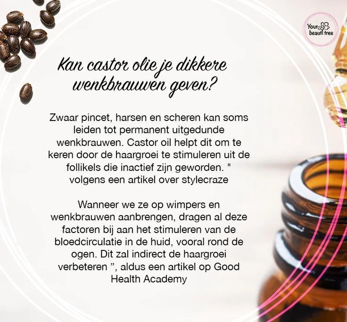 Your Beauty Tree ® Wimper Serum Met Echte Castor Olie |100% Natuurlijke Wimpergroei| Castor Oil Eyelash Serum|Wonder Olie | Wimper Groei | Wenkbrauw Serum | Lash Serum | Wimper Groeimiddel 7 Your Beauty Tree ® Wimper Serum Met Echte Castor Olie |100% Natuurlijke Wimpergroei| Castor Oil Eyelash Serum|Wonder Olie | Wimper Groei | Wenkbrauw Serum | Lash Serum | Wimper Groeimiddel - Image 5