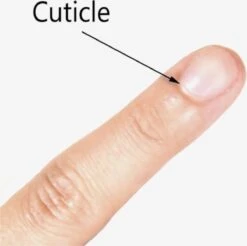 Merkloos 2 In 1 Bokkepoot - Roestvrijstaal