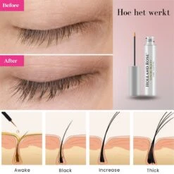 Holland Rose® Luxury Beauty - Wimperserum - Cadeau - Wimper Groeimiddel - Lange En Volle Wimpers - Dikke Wimpers - Wimperserum - Wimper Lifting - 7ml 11 Holland Rose® Luxury Beauty - Wimperserum - Cadeau - Wimper Groeimiddel - Lange En Volle Wimpers - Dikke Wimpers - Wimperserum - Wimper Lifting - 7ml -Modecosmetica Winkel 1200x1200 1412