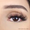 Merkloos Nep Wimpers Russisch Volume- Blossom Wimperextension Lashes 2 Merkloos Nep Wimpers Russisch Volume- Blossom Wimperextension Lashes -Modecosmetica Winkel 1200x1200 1580