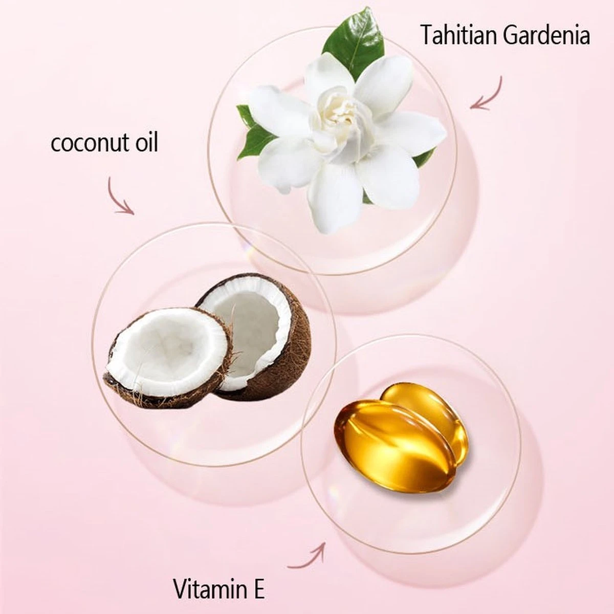 Palm Brow Styling Soap - 100% Vegan - Wenkbrauw Styling Zeep - Wenkbrauwgel Met Langdurig Effect – Veilig En Natuurlijk – Brow Shaping - Wenkbrauw Soap 10 Palm Brow Styling Soap - 100% Vegan - Wenkbrauw Styling Zeep - Wenkbrauwgel Met Langdurig Effect – Veilig En Natuurlijk – Brow Shaping - Wenkbrauw Soap - Image 8