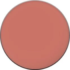 L'Oréal Paris True Match Blush - 145 Bois De Rose 41 L'Oréal Paris True Match Blush - 145 Bois De Rose -Modecosmetica Winkel 1200x1200 958