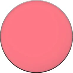 L'Oréal Paris True Match Blush - 165 Rose Bonne Mine 31 L'Oréal Paris True Match Blush - 165 Rose Bonne Mine -Modecosmetica Winkel 1200x1200 995