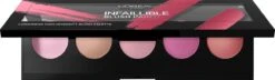 L'Oréal Paris Infaillible Blush Paint - 01 Pink - Blush Palet 7 L'Oréal Paris Infaillible Blush Paint - 01 Pink - Blush Palet -Modecosmetica Winkel 1200x348