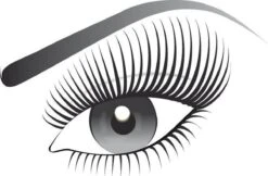 L’Oréal Paris False Lash Superstar Red Carpet Mascara - Zwart 14 L’Oréal Paris False Lash Superstar Red Carpet Mascara - Zwart -Modecosmetica Winkel 1200x787 1