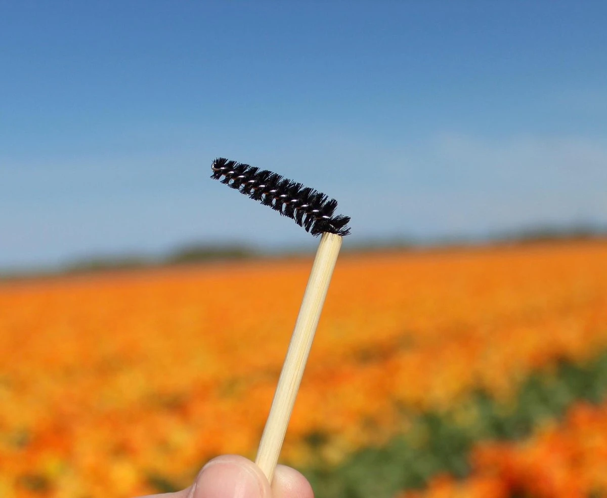 Natural Shaper Brow Soap Met Bamboo Brush – Browsoap - Wenkbrauwgel Met Langdurig Effect – Veilig En Natuurlijk – Brow Shaping - Wenkbrauw Soap 6 Natural Shaper Brow Soap Met Bamboo Brush – Browsoap - Wenkbrauwgel Met Langdurig Effect – Veilig En Natuurlijk – Brow Shaping - Wenkbrauw Soap - Image 4