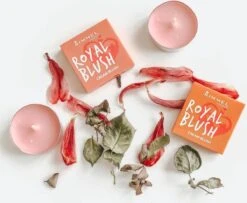 Rimmel London Rimmel - Royal Blush Cream Blush 4 G 002 Majestic Pink - 9 Rimmel London Rimmel - Royal Blush Cream Blush 4 G 002 Majestic Pink - -Modecosmetica Winkel 1200x985 5