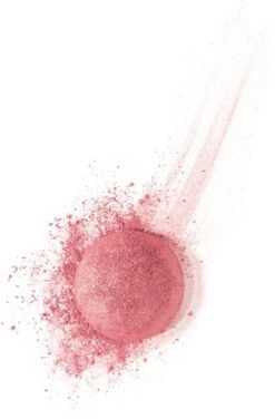 Bourjois Little Rount Pot Blush 095 Rose De Jaspe -Modecosmetica Winkel 789x1200