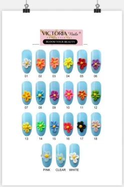 Victoria Nails Pro - Acrylpoeder - 28 Gram - Neon Pink #16 - Acrylpowder - Acryl Nagels - Manicure/pedicure Handen En Voeten - Nepnagels - Nagelstudio - Nagelstyliste - Beginner/professioneel Acrylpoeder - Ombre 3D Painting -Modecosmetica Winkel 795x1200