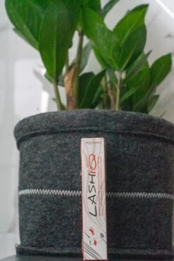 Wimperserum 5ml - Lash Lift - Eyelash - Wimperlifting - LashIQ- Wimper Serum- Wimperserum Groei 11 Wimperserum 5ml - Lash Lift - Eyelash - Wimperlifting - LashIQ- Wimper Serum- Wimperserum Groei -Modecosmetica Winkel 799x1200 10